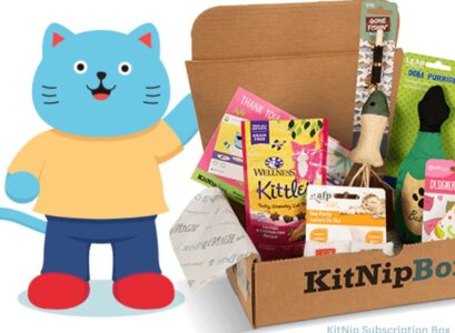 KitNip Subscription Box